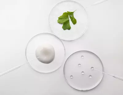 Our Green Chemistry